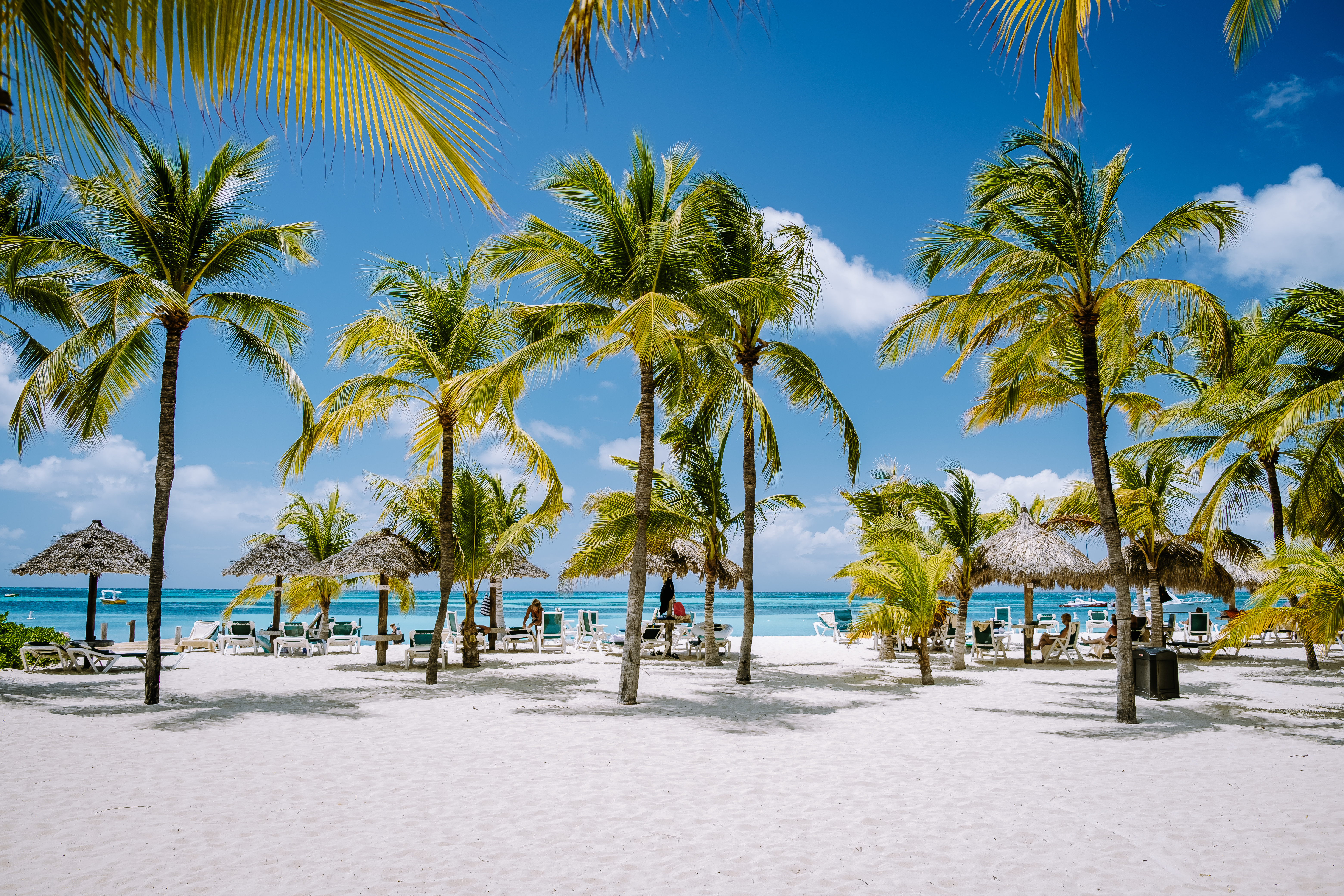 White beach with Palm Trees
