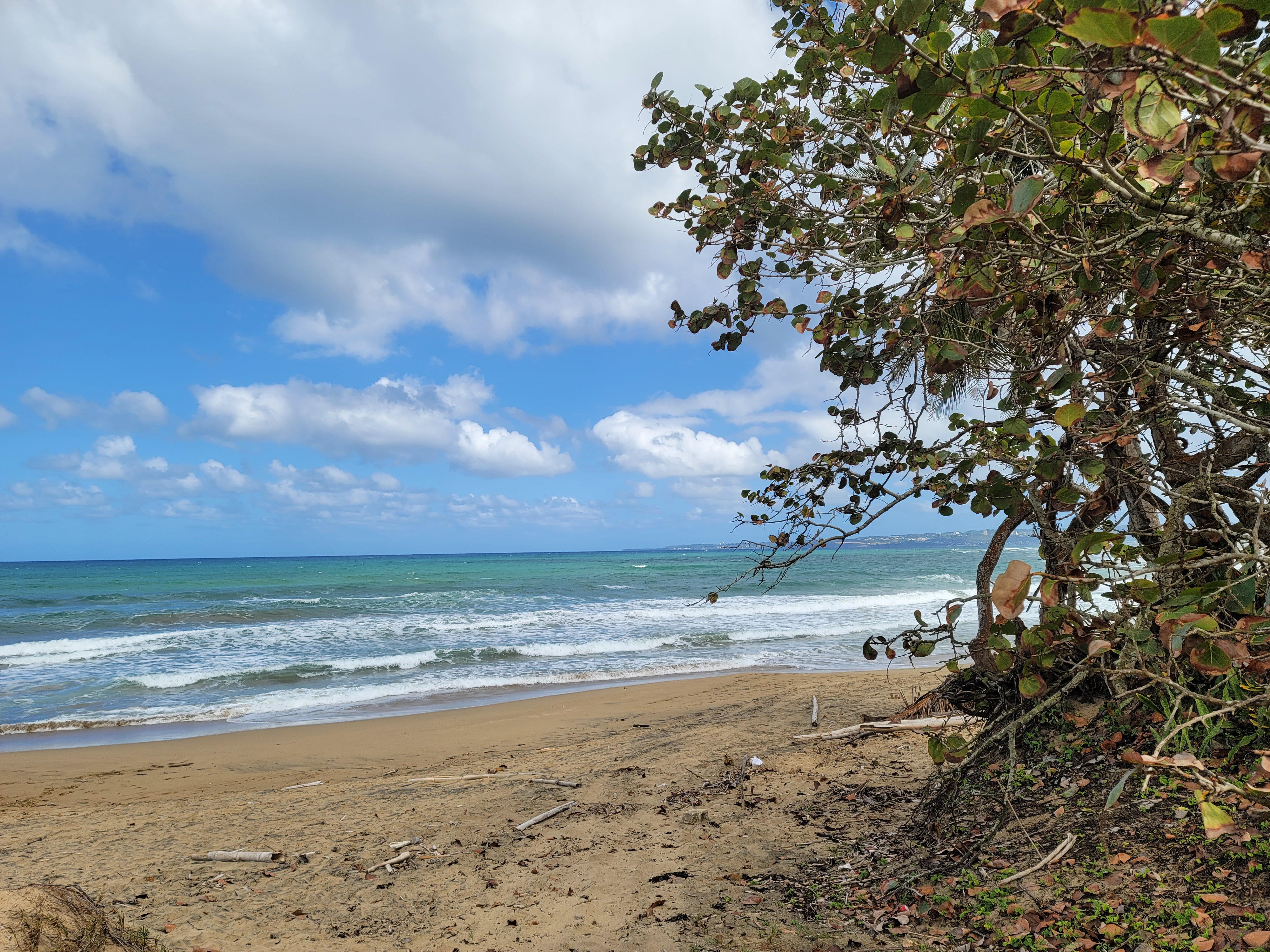 Beach in Puerto Rico